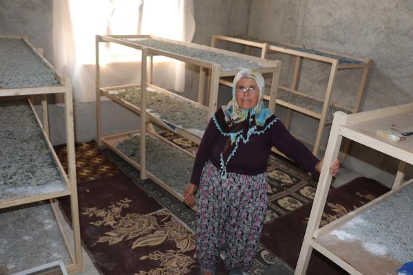 Devlet Destek Oldu, 2 Ev Kadını İpek Böceği Yetiştirmeye Başladı