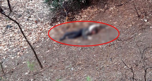 Evli Adam, Kumalığı Kabul Etmeyen Kadını Önce Uçurumdan Attı Sonra Başını Taşla Ezerek Öldürdü