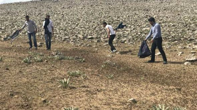 Şanlıurfa’da Çekirge İstilasına Karşı Vatandaşlar Sabaha Kadar Tarlalarda Nöbet Tutuyor