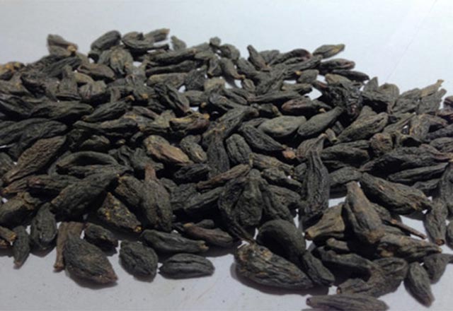 Hemoroide İyi Gelen Bitki: Karahalile