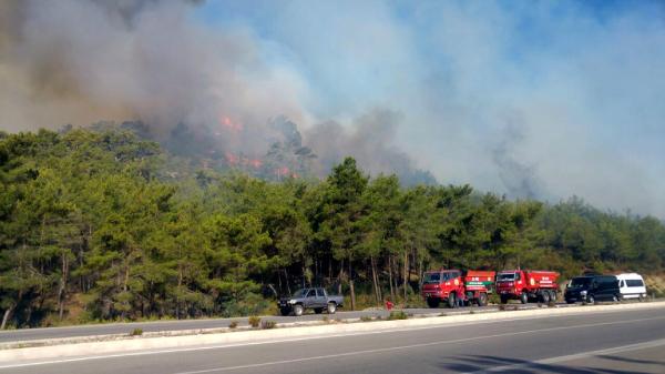 Turizm Cenneti Kemer’de Art Arda İkinci Orman Yangını