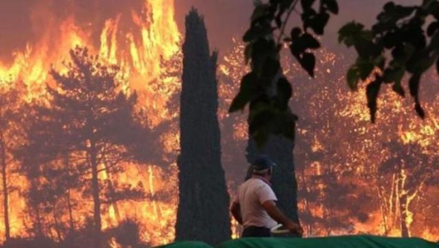 Son Dakika: Manavgat yangınıyla ilgili 16 yaşındaki şüpheli tutuklandı