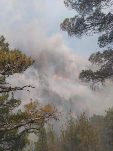 Türkiye için kara gün! Antalya’dan sonra 5 şehirde daha yangın çıktı