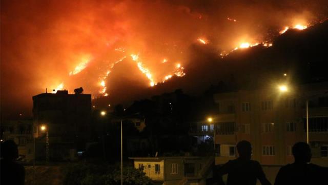 Türkiye’yi küle çeviren orman yangınları neden çıktı? Uzmanlar iki ihtimal üzerinde duruyor: İklim krizi ve sabotaj