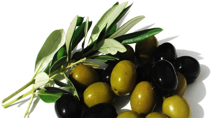 Zeytin Nedir Faydaları Nelerdir?